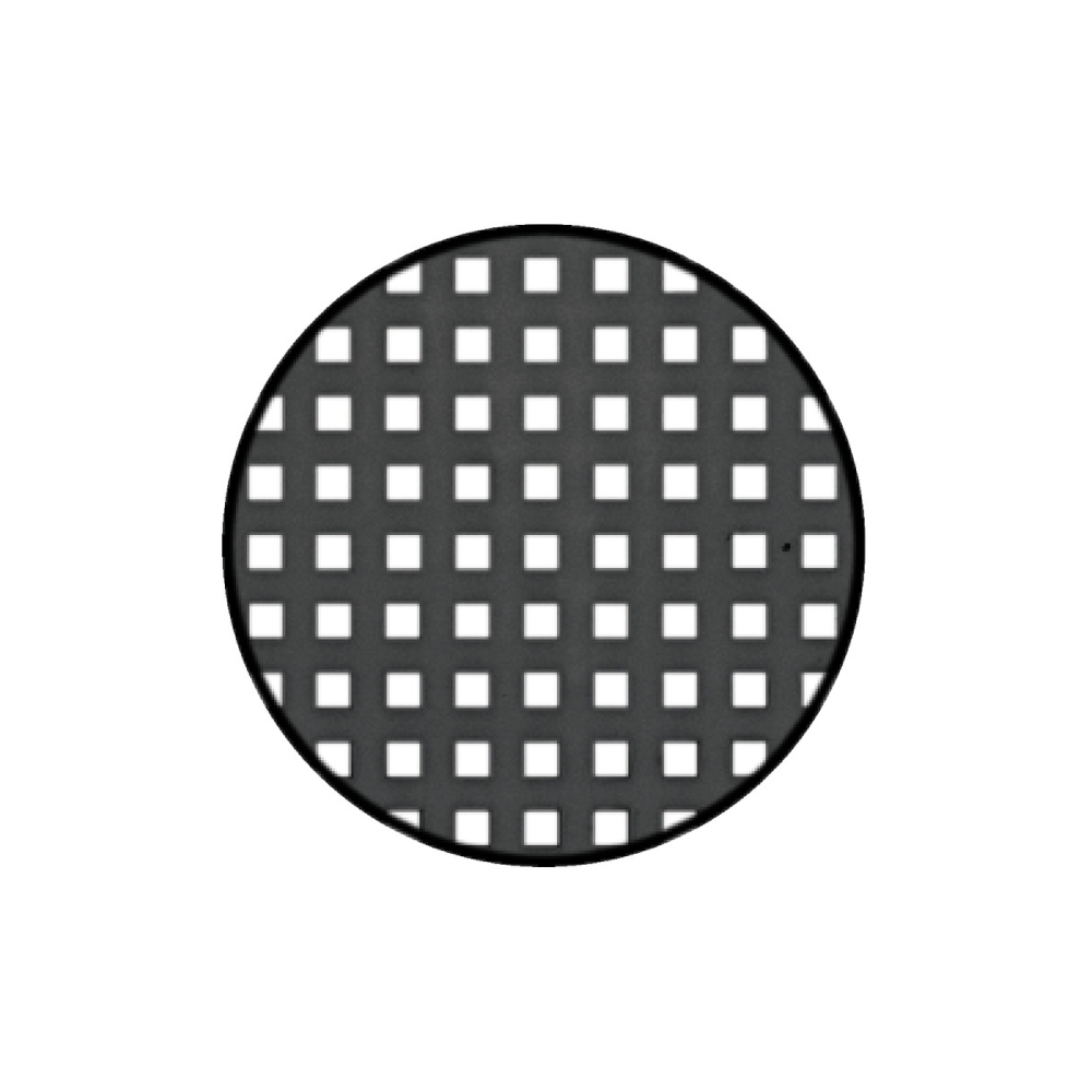 502050002-2.jpg